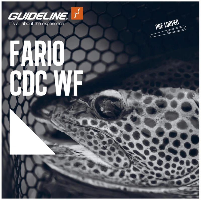 Guideline Fario CDC WF 4 Guideline Fario CDC WF – Bild 2