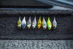 Berkley DEX Ripper 13 Berkley DEX Ripper -Laden Für Angelserien 1572667r 6