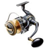 Daiwa 20 Saltiga -Laden Für Angelserien 214666r 1