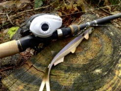 Quantum Accurist Baitcast AT101 HPT 13 Quantum Accurist Baitcast AT101 HPT -Laden Für Angelserien 22 570101 6