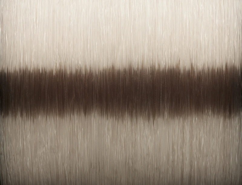 Savage Gear Silencer Mono Fade 300m 4 Savage Gear Silencer Mono Fade 300m – Bild 2