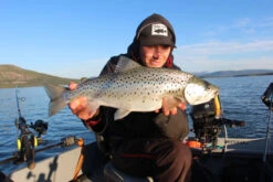 Headbanger Cranky Shad -Laden Für Angelserien CS 25 SS BKr 3