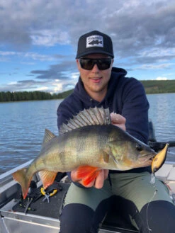 Headbanger Cranky Shad -Laden Für Angelserien CS 25 SS BKr 6