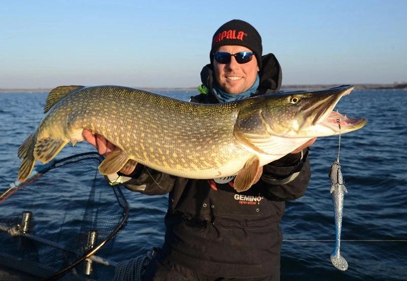 Eastfield Wingman (Made In Sweden) 5 Eastfield Wingman (Made In Sweden) – Bild 3