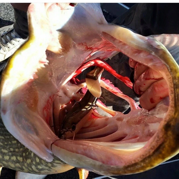 Eastfield Wingman (Made In Sweden) 6 Eastfield Wingman (Made In Sweden) – Bild 4