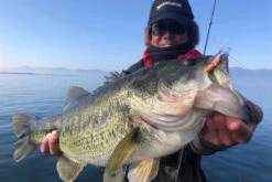 Megabass Dyna Response 14g 9 Megabass Dyna Response 14g -Laden Für Angelserien MB DR 4513473478703r 3