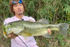 Megabass Vibration-X Dyna (Rattle In) -Laden Für Angelserien MB VXDR 4513473465505r 3