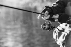 Shimano Stella FK -Laden Für Angelserien STL1000FKr 5