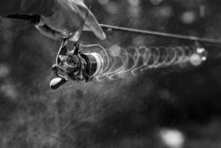 Shimano Stella FK -Laden Für Angelserien STL1000FKr 6