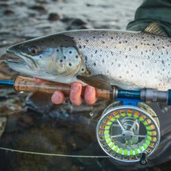 Vision Stifu Flyrod 7 Vision Stifu Flyrod -Laden Für Angelserien VFU4967r 3