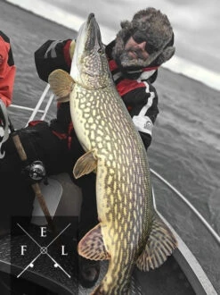 Eastfield Wingman Curly 23cm, 77g -Laden Für Angelserien wingman curlr 3